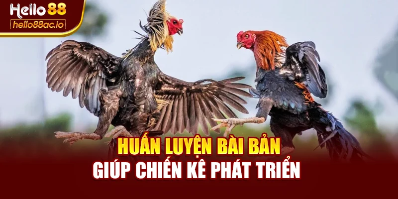 Huấn luyện bài bản giúp chiến kê phát triển